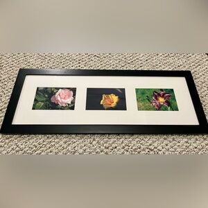 Framed Flower Photographs